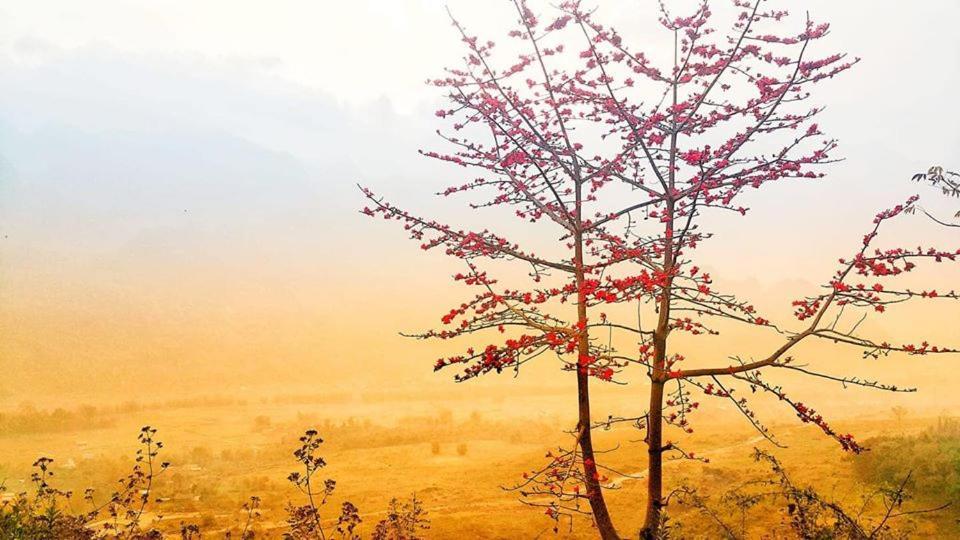 Diem Dung Chan Can Ty Ha Giang Εξωτερικό φωτογραφία